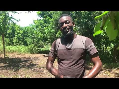 What is a Spading fork and How to plough the land using a Spading Fork?