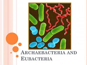 Archaebacteria and Eubacteria - SlideServe
