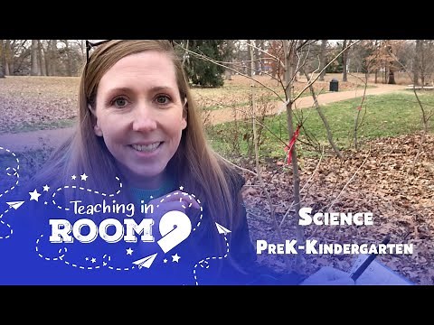 Sink or Float | PreK-Kindergarten Science | Teaching In Room 9