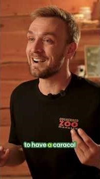 Denmark's First Exotic Animal Rescue Zoo: A Second Chance #shorts