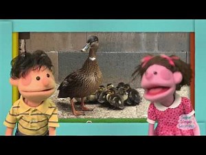 What Do You Hear? | Animal Song | Super Simple Songs