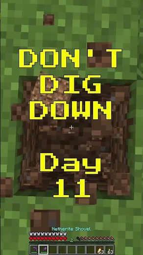 Don't Dig Down - Day 11 #minecraft