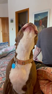 679K views · 85K reactions | “Seasons in the Sun”  Terry Jacks 1974 by Skipper and Mama☺️ *Brings back memories of 7th grade. I was a Navy brat, living on-base in northern California. So vivid…I’m there. Wow!朗 | The daily adventures of Gilligan & Skipper | Facebook