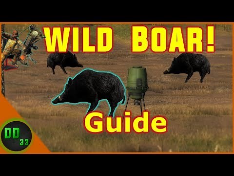How To HUNT WILD BOAR TheHunter Classic!!