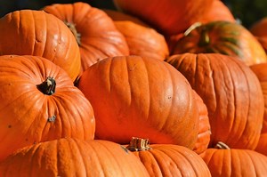 Best California Cities To Celebrate Halloween, Go Trick-Or-Treating: LIST