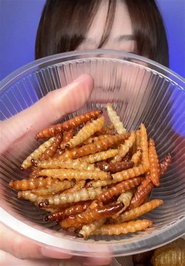Fried Insects: A Unique Street Food Experience