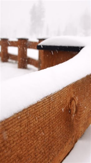 Mother Nature understood the assignment at Tamarack ❄️✨ We’re soaking in every flake of the snowfall we’ve all been waiting for while our teams are out there making the most of it - prepping the mountain, fine-tuning details, and getting ready for an unforgettable winter season ahead. Want a front-row seat to the storm? Check out our live webcams via the link in bio to follow conditions in real time. 🎿 And while the snow keeps stacking up, explore our Enchanted Holidays event lineup and start p