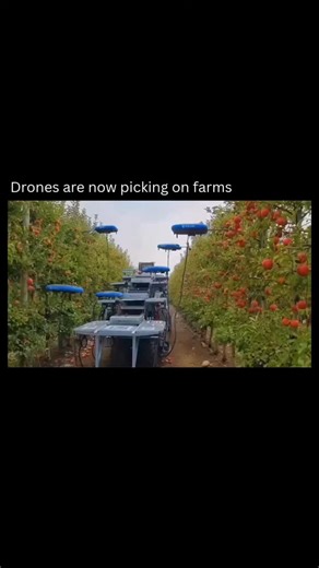 Artificial Intelligence | AI tools & News | ChatGPT on Instagram: "Farms are no longer just fields and farmers, they are becoming living data systems. In Israel, drones now harvest apples while AI and big data guide every decision behind the scenes. From checking soil conditions to fine-tuning irrigation and predicting yields, technology is turning agriculture into a precision-driven process. As climate pressures grow and food demand rises, this shift toward smart farming is redefining how the w