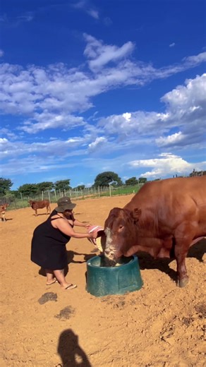 #farmgirlproblems #farmlifestyle #🤎🌾💪🤠💯 #farmgirldoitbetter #🤌🏾