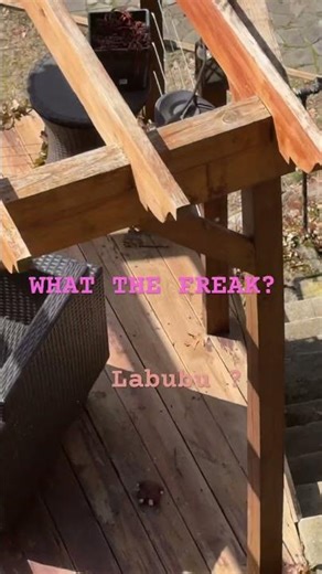 #scary #horror#labubu