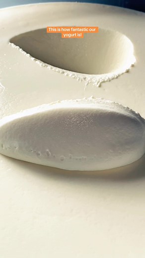 Making the Best Yogurt in Abuja: Freshly Made Daily by Puffy Pal