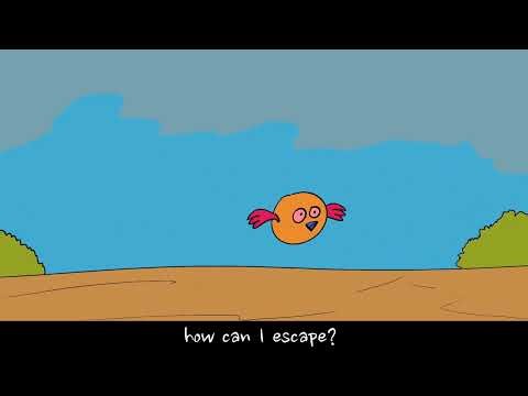 Trap bird, Callipeg animation