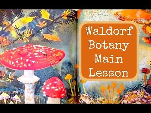 Waldorf Botany Main Lesson | UNIT STUDY PLANTS & TREES | Homeschool