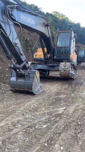 Success Is The Best Revenge: Empowering Insights