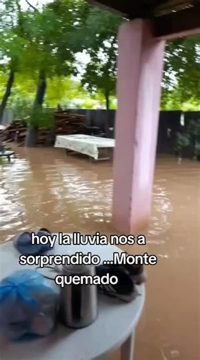 Rain Surprises Us Today in Monte Quemado