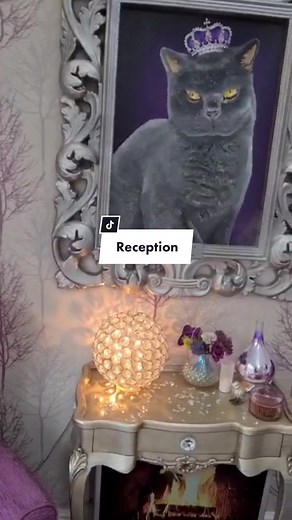 Luxury Cat Hotel in West Yorkshire