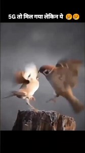 Let's Plant More Trees Together #birds #nature #human #plants #environment #ytshorts #shorts