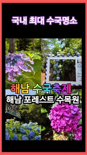해남 포레스트 수목원 #국내최대수국축제 #해남 #땅끝마을