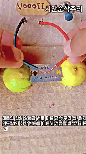 레몬과 면도칼을 이용한 화학 전지 스파크 확인 실험 #worker #process #chemistry #voltage #diy