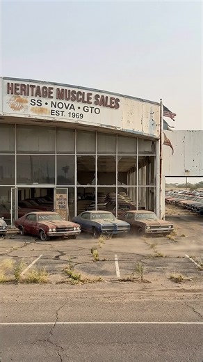 Abandoned Muscle Car Showroom: 63 Cars Under $1000!