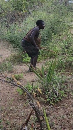 Hadzabe Hunters Track Wild Game Deep in the African Forest | Ancient Hunting Skills