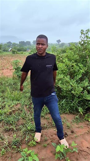 Jamukokomedia (@jamukokomedia)’s videos with original sound - Jamukokomedia