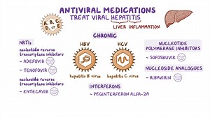 Video: Antivirals for Hepatitis B and C - Video Explanation! | Osmosis | Osmosis