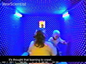 Babies don't get vertigo until they learn to crawl