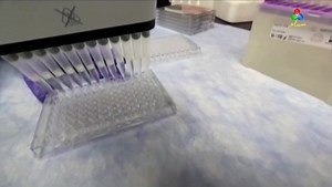 17K views · 524 reactions | Novavax announced it has started Phase 1 of a clinical trial for a coronavirus vaccine. The preliminary results from the initial phase of the trial are expected in July. | TDM Canal Macau | Facebook