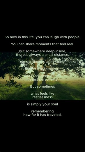 Soul Book #427 — The Wanderer