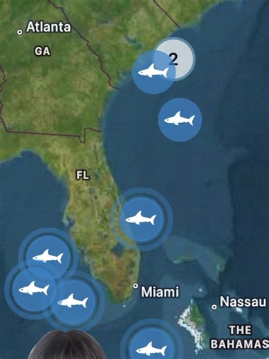 🦈 SUMMER WHITE SHARK MIGRATION BEGINS From Mid-Atlantic waters to the Gulf, multiple white sharks checked in on the OCEARCH Global Shark Tracker this past week, providing a real-time look at seasonal migration now underway. Who’s on your watchlist right now? 👇 Track them all on the OCEARCH Global Shark Tracker app using the link in our bio! #FactsOverFear #WhiteSharks #MarineScience #SharkTracking #OceanResearch