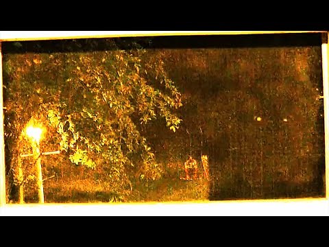 Bigfoot Caught Looking Through Window (ThinkerThunker)
