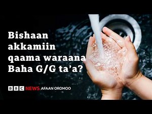 Bishaan boba’aadhaan walqixa akkamiin qaama waraanaa Baha G/G ta’uu danda’a? | BBC News Afaan Oromoo