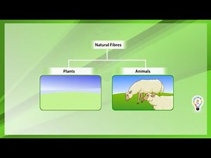 Natural fibres and synthetic fibres