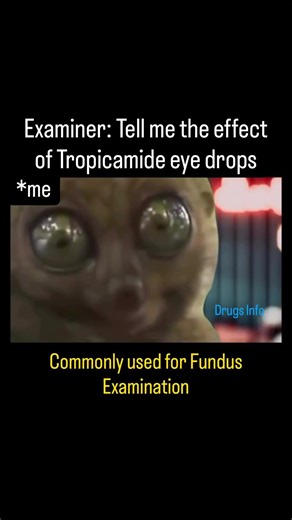 Tropicamide action #eyedrop #viral #pharmcology #trendingshorts