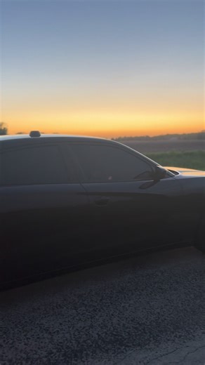 Exploring the V8 Interceptor Culture