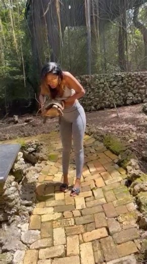 Turtle Encounter in Barbados A Day at the Barbados Wildlife Reserve