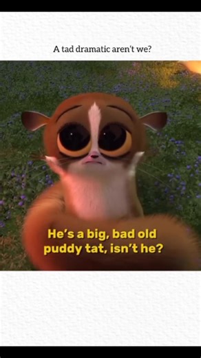 📌S📌 on Instagram: "Madagascar - 2005 When four pampered zoo animals — Alex the Lion, Marty the Zebra, Melman the Giraffe, and Gloria the Hippo — accidentally end up stranded on the island of Madagascar, their city-slicker lives take a hilarious turn! As they try to survive the wild and understand their new home, they discover the true meaning of friendship and freedom. Madagascar (2005) is a fun, energetic adventure packed with laughs, unforgettable characters, and iconic moments! 🦁🦓🦒🦛✨ #M