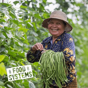 To achieve #ZeroHunger, we need a global #FoodSystems that are 🟢more productive 🟢more inclusive of marginalized populations 🟢more sustainable and resilient 🟢able to deliver healthy, nutritious diets to all. 👉Learn more: https://bit.ly/3ABao7t #UNGA76 #UNFSS2021 | World Food Programme