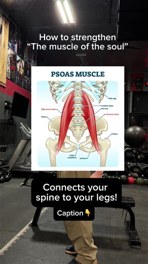 Understanding the Psoas: The Muscle of the Soul