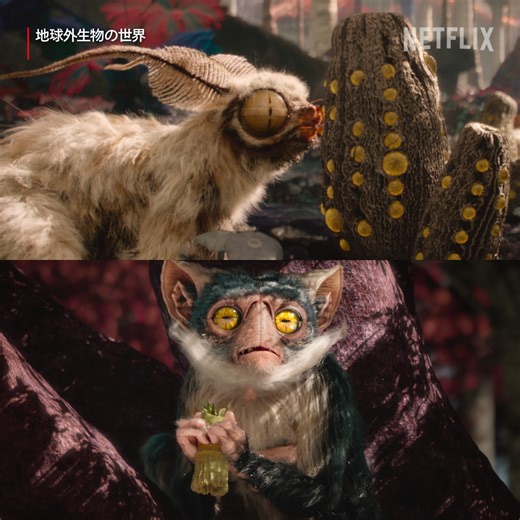 🐇や🐒にそっくりな謎の生き物たちはどの星の住人？ 科学的事実と空想を交え、架空の惑星に思いを馳せる自然SFドキュメンタリー『地球外生物の世界』。見たことのない生き物たちを観に、想像力を刺激するアナザーワールドへ小旅行はいかが？ #地球外生物の世界 #AlienWorlds #ドキュメンタリー #documentary #ネットフリックス #ネトフリ #netflix | Netflix