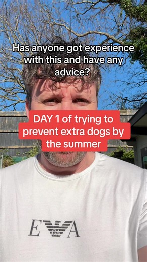 28-Day Dog Mating Prevention Challenge