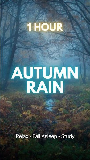 Autumn Rain for Sleep 🌧️🍂 #AutumnRain #Sleep