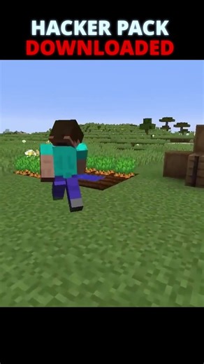 Bro downloader hacker pack - Minecraft