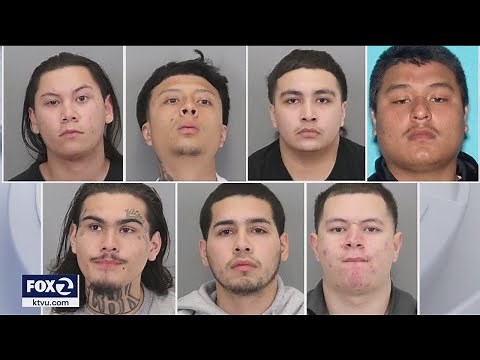 12 arrested in alleged San Jose gang sweep