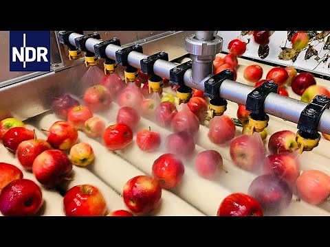 Wie geht das? Fruchtsaft | NDR