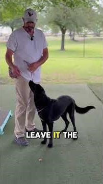 Teach Your Dog “Leave It” in Just 2 Steps (Impulse Control Made Easy)