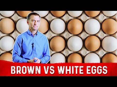 Brown Eggs vs White Eggs – Which Are Healthier? – Dr. Berg