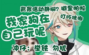 【阿萨Aza】冲仔：铲屎的在直播，龙门架我的了，嘻嘻！