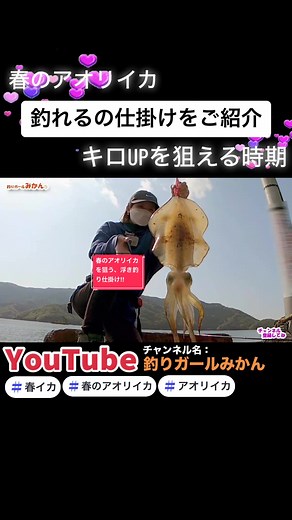 春のアオリイカを狙う簡単浮き釣り仕掛け